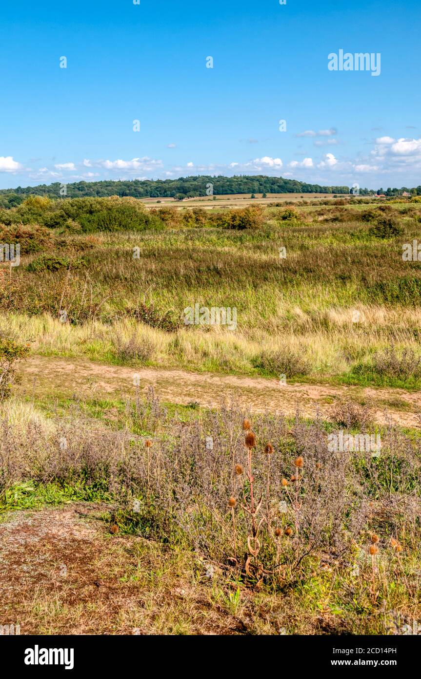 Paesaggio del Norfolk occidentale dietro la costa orientale del Washington. Vista dell'entroterra dalla spiaggia di Snettisham a Ken Hill. Foto Stock