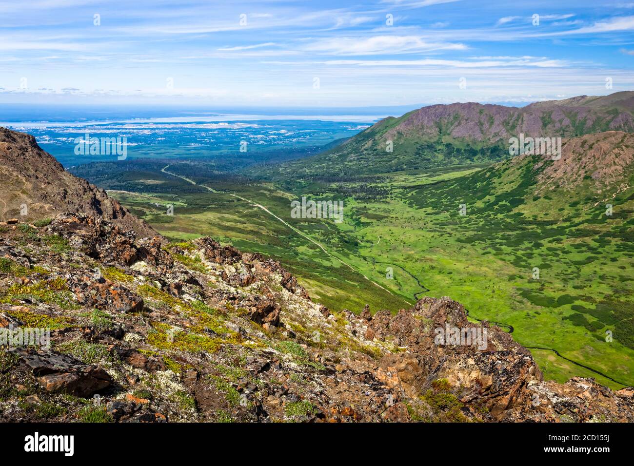 Affacciato sulla Campbell Creek Valley e Anchorage, il Chugach state Park, nell'Alaska centro-meridionale in estate; Anchorage, Alaska, Stati Uniti d'America Foto Stock