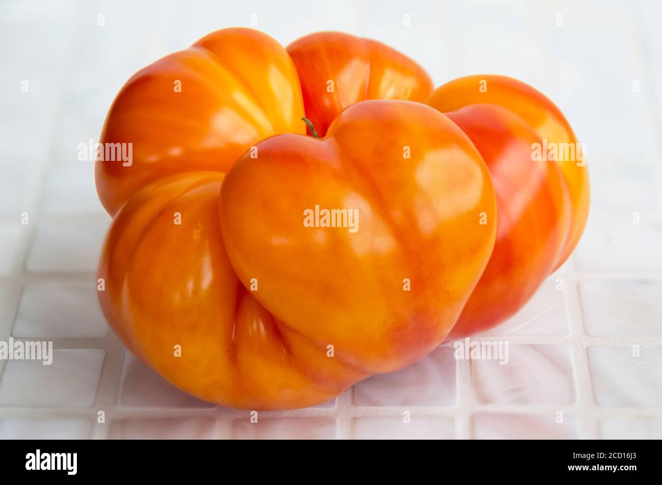 Primo piano di pomodori di colore arancio, dalla forma strana, dal colore arrossato al colore rosa su un bancone bianco; British Columbia, Canada Foto Stock