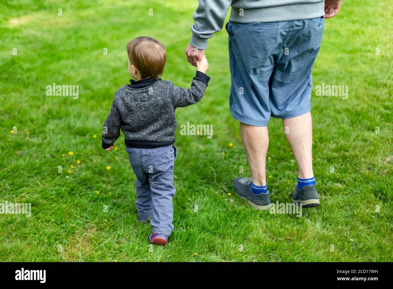 Un padre cammina con la sua giovane figlia sull'erba, tenendo le mani; North Vancouver, British Columbia, Canada Foto Stock