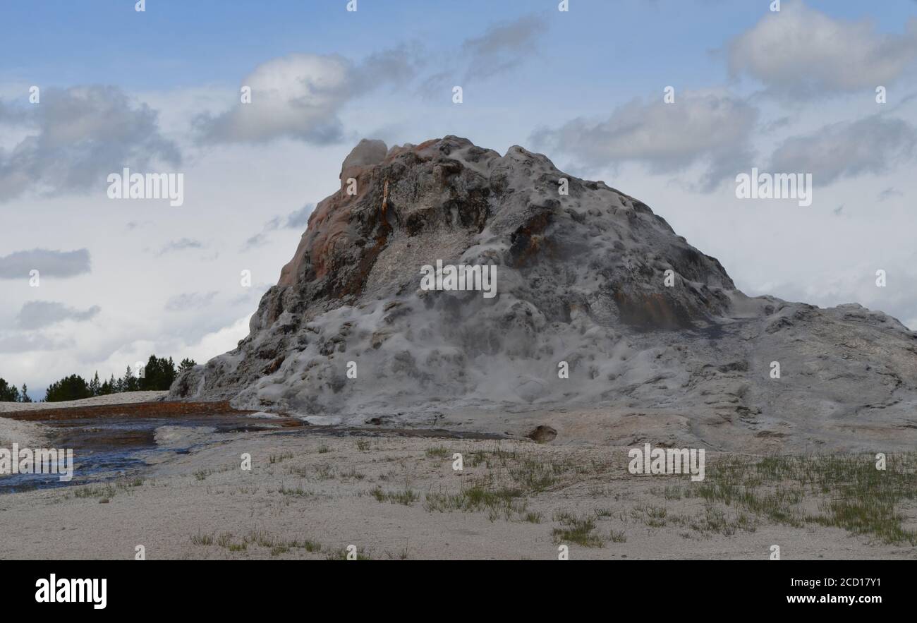Tarda primavera nel Parco Nazionale di Yellowstone: White Dome Geyser del Gruppo White Dome lungo Firehole Lake Road nel bacino del Lower Geyser Foto Stock
