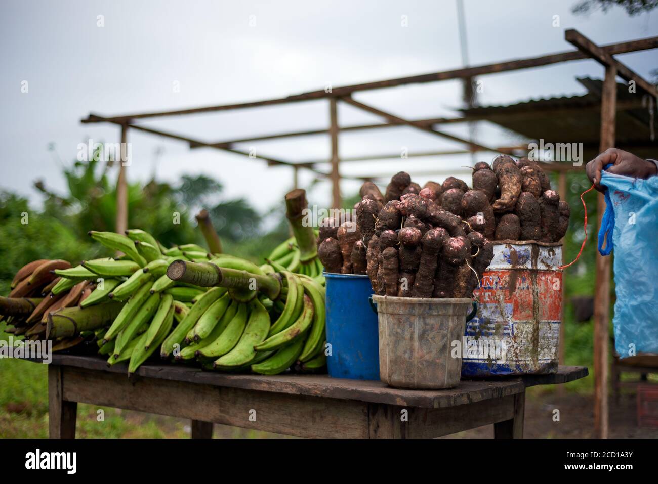 Banane verdi e barbabietole su un mercato di strada Foto Stock