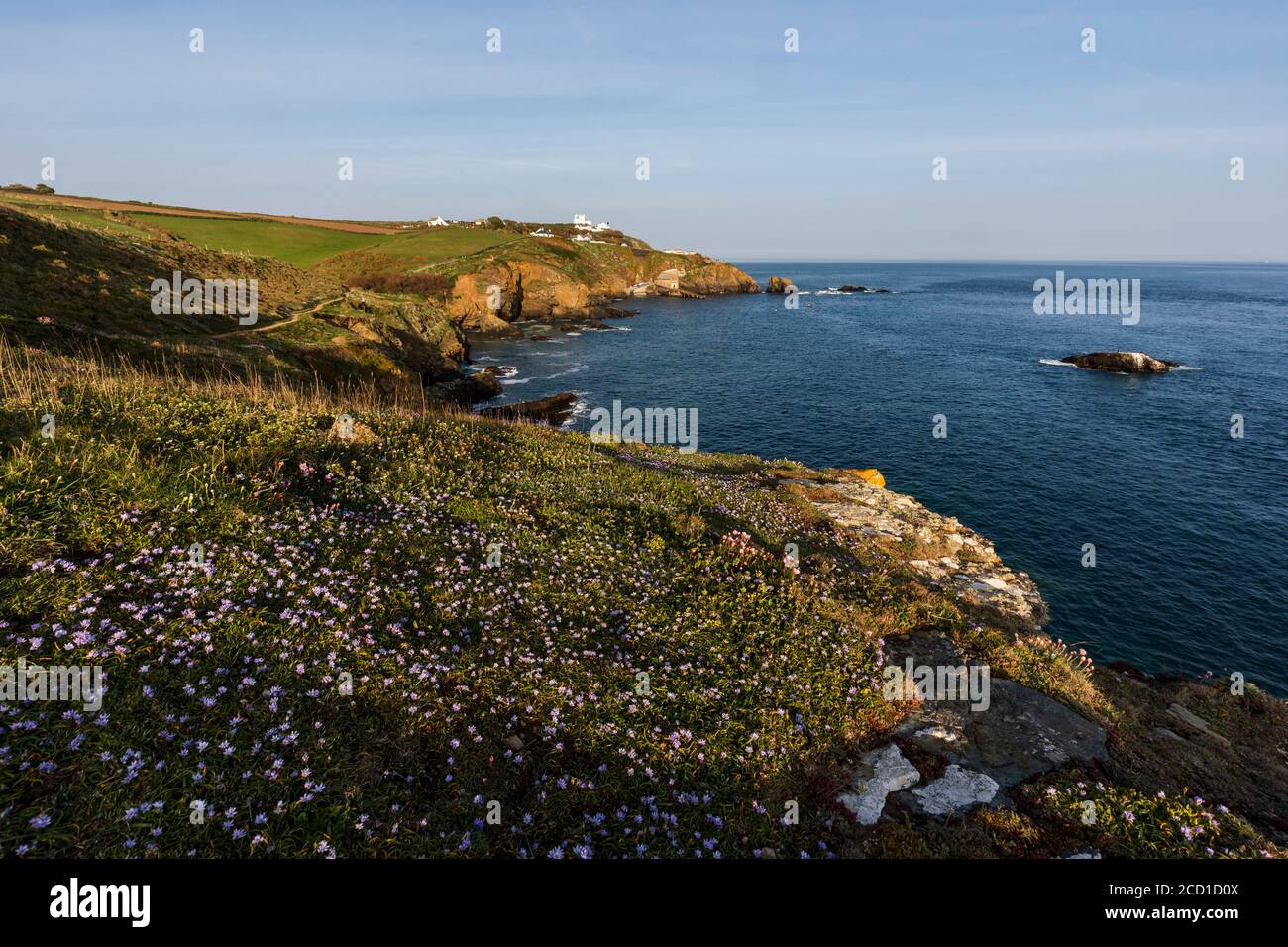 Lizard Point; Spring; Cornovaglia; UK Foto Stock