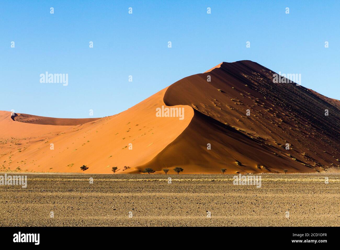 Duna rossa di Sossusvlei, in Namibia, che fanno parte del mare di sabbia del Namib, classificato come Patrimonio dell'Umanità dall'UNESCO nel 2013. Foto Stock