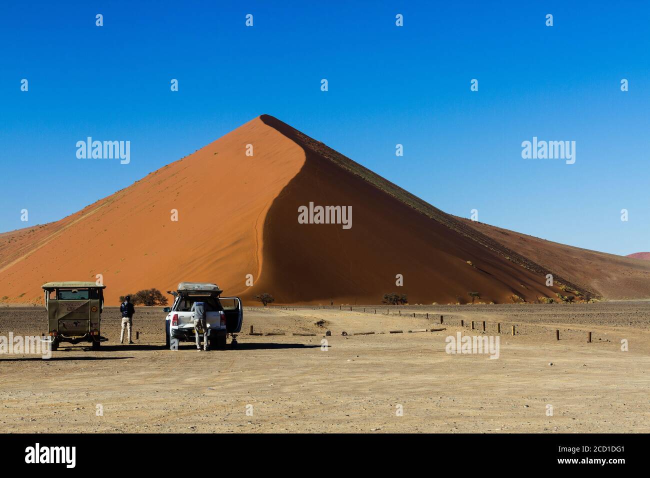 La famosa duna 45 a Sossusvlei, Namibia, che fanno parte del mare di sabbia del Namib, classificato come Patrimonio Mondiale dell'Umanità dall'UNESCO nel 2013. Foto Stock