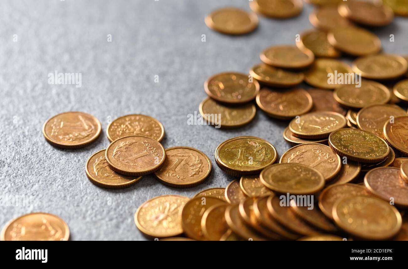 Polacca una moneta grosz (un centesimo di una zloty), fuoco selettivo. Foto Stock