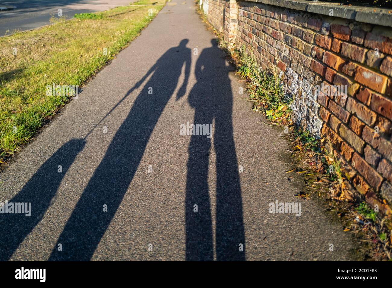 Lunghe ombre serali di un uomo e di una donna che camminano il cane su un guinzaglio al tramonto dell'ora d'oro. Stanno camminando su un marciapiede vicino ad un'erba e ad un dentro Foto Stock