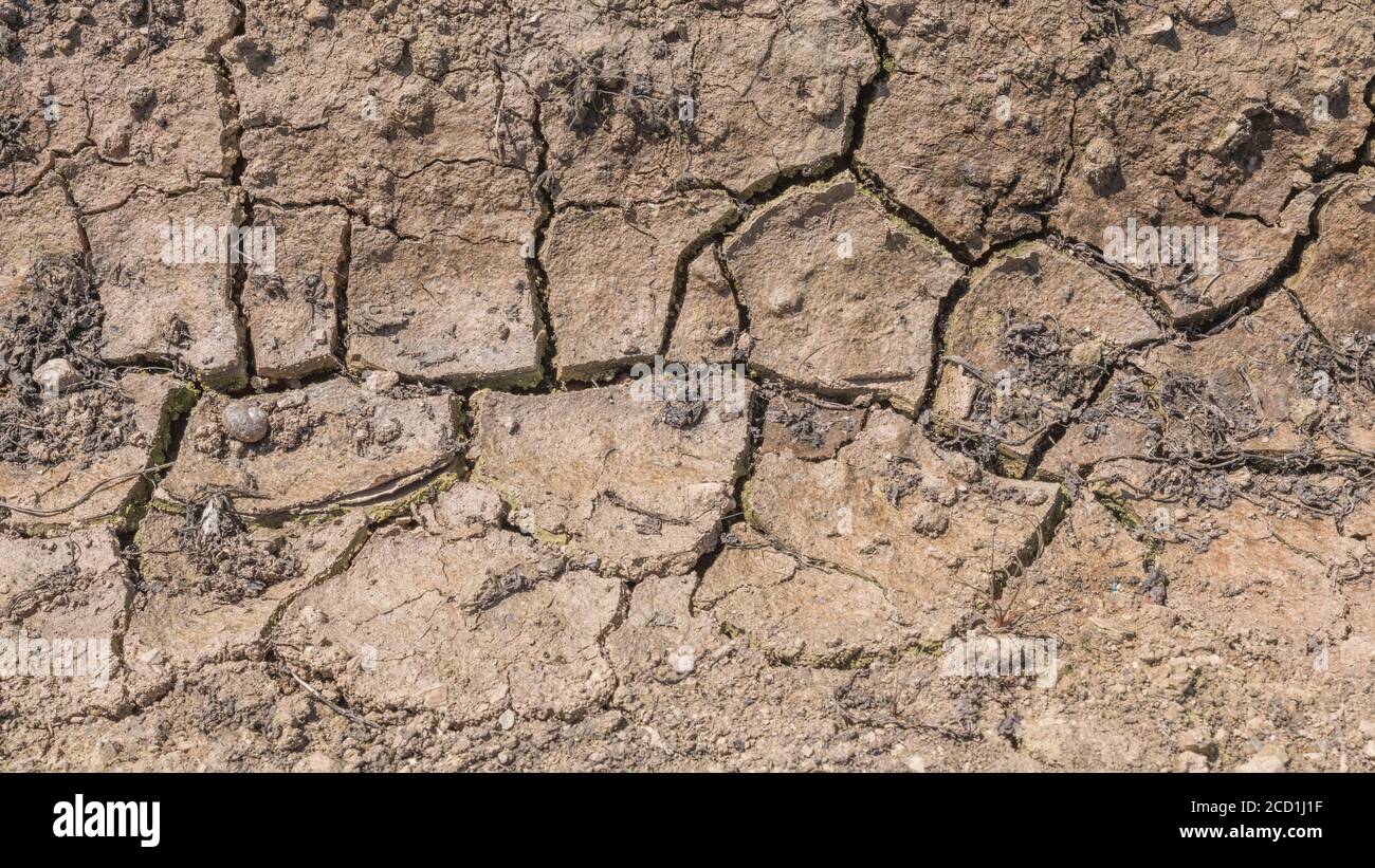 Crosta di suolo di campo di silt-formed con mancanza di acqua. Per la carenza di acqua, la scienza del suolo, la meccanica del suolo, il suolo astratto, la siccità astratta. formato 16:9 Foto Stock