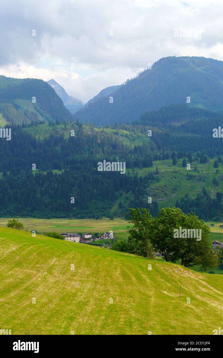 Paesaggio montano nei pressi di Cavalese in Val di Fiemme, Dolomiti, Trentino Alto Adige, Italia, in estate Foto Stock