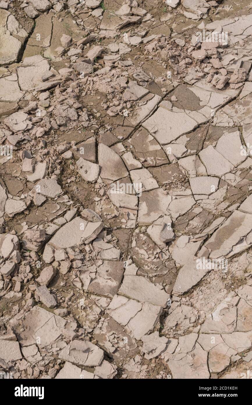 Il suolo si incrina sul campo mostrando crepe mentre il fango si asciuga e l'umidità evapora. Per la scienza del suolo, la siccità nel Regno Unito, la carenza d’acqua, la formazione di crepe. Foto Stock