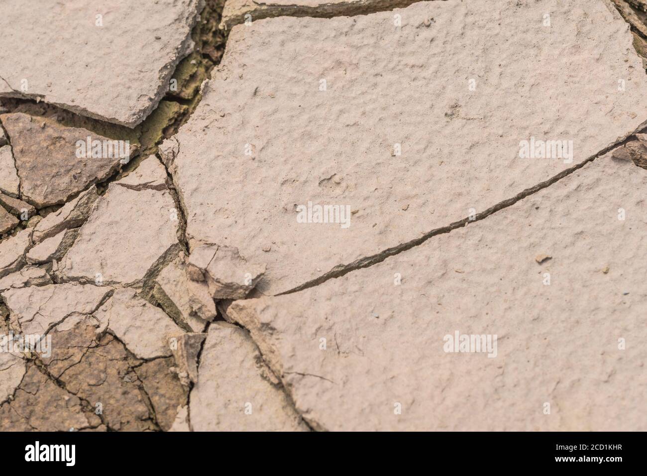 Campo secco crosta di suolo cracked ed asciugando fuori, e mostrando raindrop impatto di fango secco superficie. Per la scienza del suolo, la siccità nel Regno Unito, la carenza di acqua. Foto Stock
