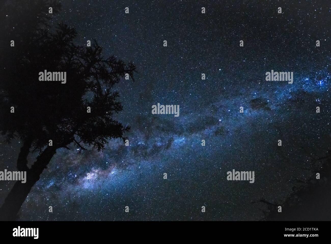Notte stelle cielo con la galassia di Milkyway sopra la silhouette dell'albero, come visto dalla costa del Madagascar ad Anakao Foto Stock