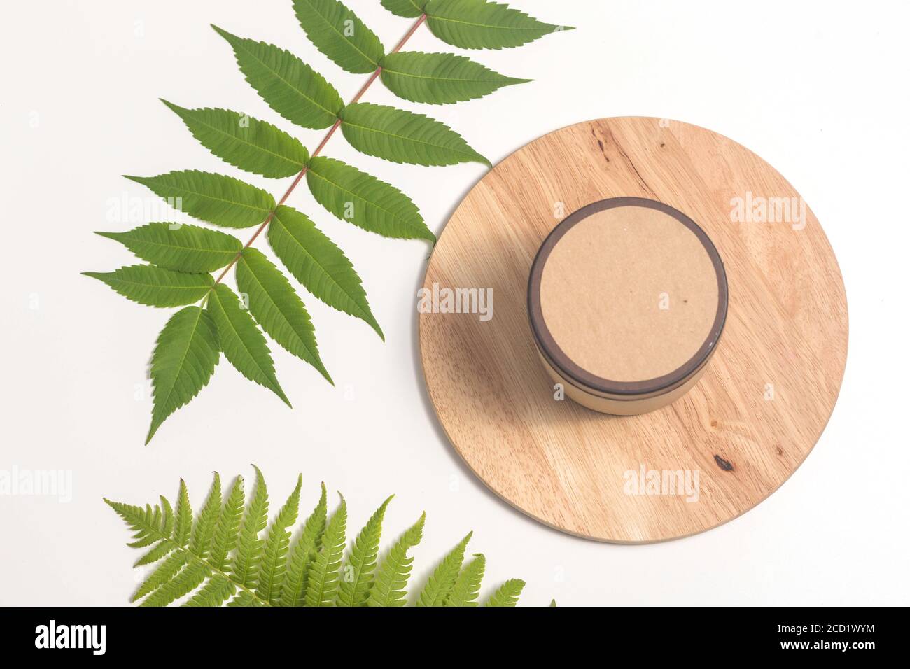 Modello di annunci per la cura del corpo delle bottiglie cosmetiche alle erbe. Foto Stock