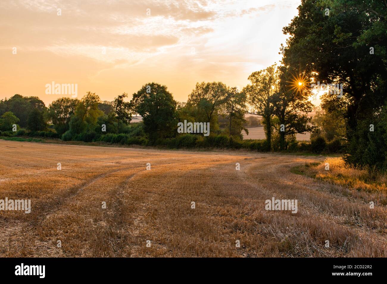 Immagine frizzante del tramonto con travi solari su campo di grano raccolto Foto Stock