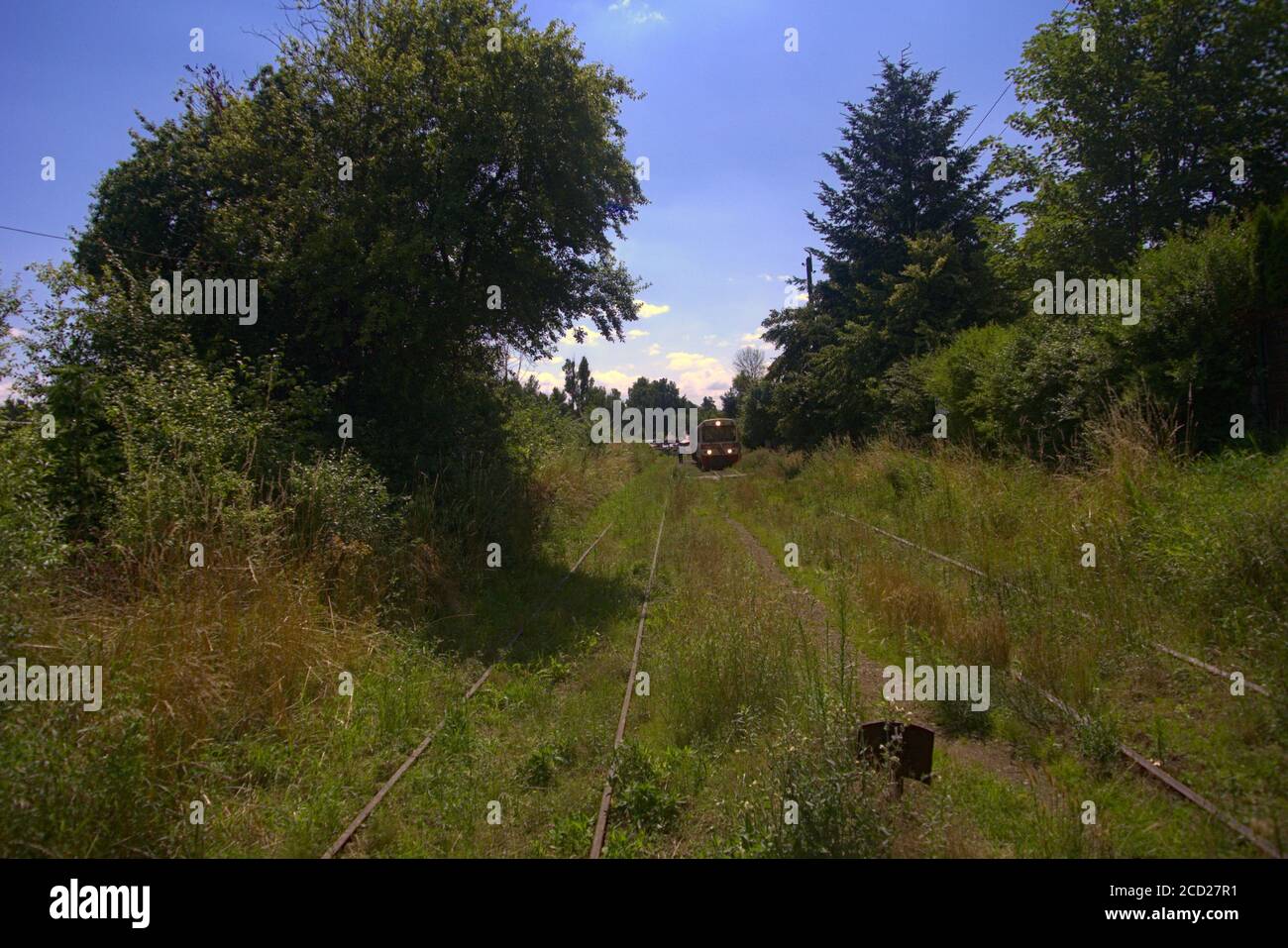 Un treno distante con un controllo dei biglietti nelle vicinanze Foto Stock Un treno distante con un controllo dei biglietti nelle vicinanze Foto Stock