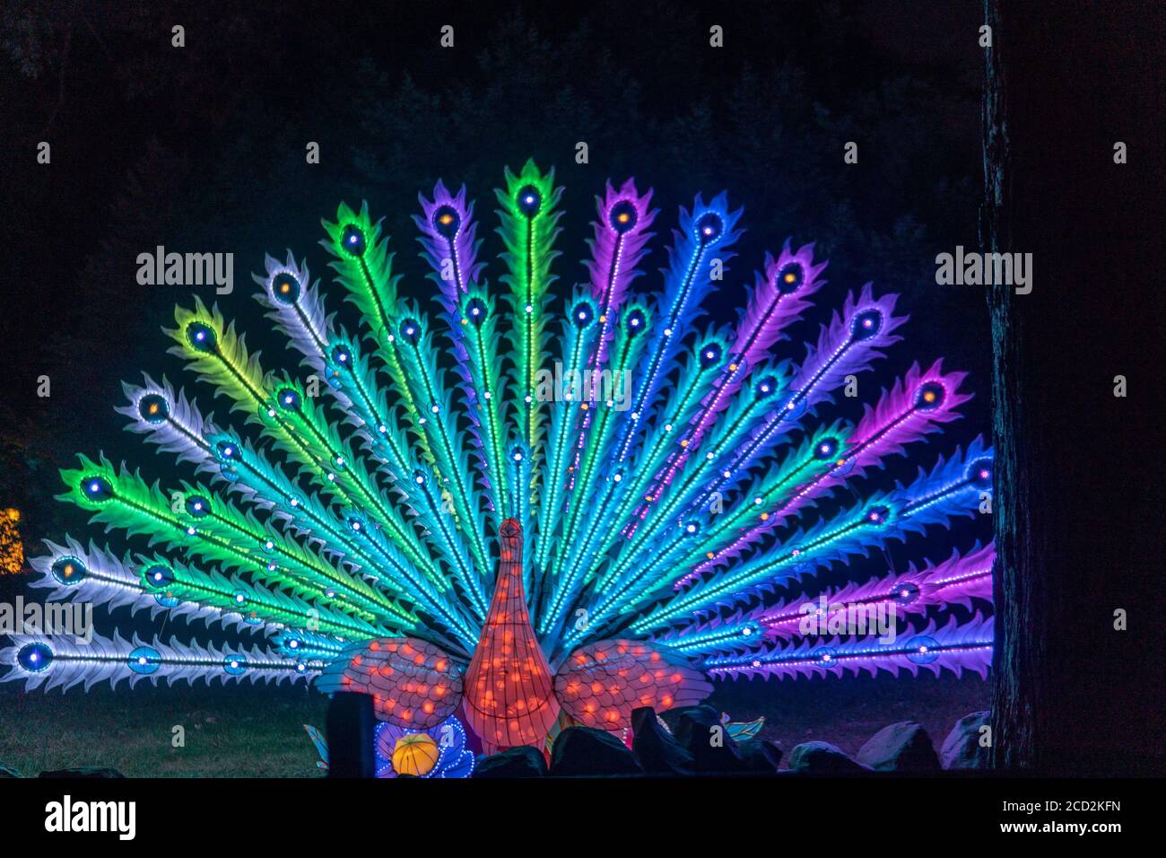 Visita il Lantern Festival allo zoo di Cleveland in Ohio durante Covid-19 Foto Stock