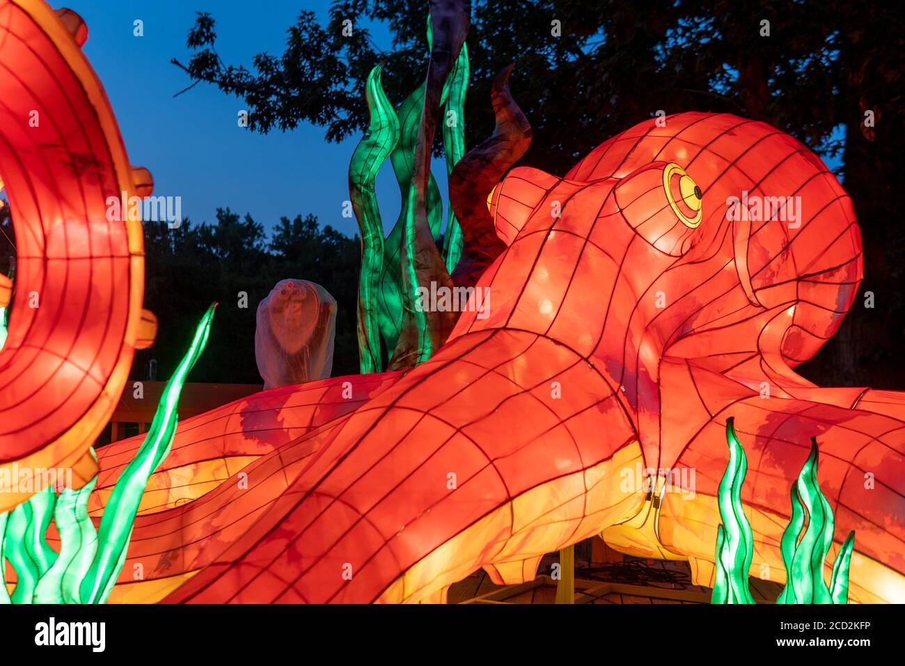 Visita il Lantern Festival allo zoo di Cleveland in Ohio durante Covid-19 Foto Stock