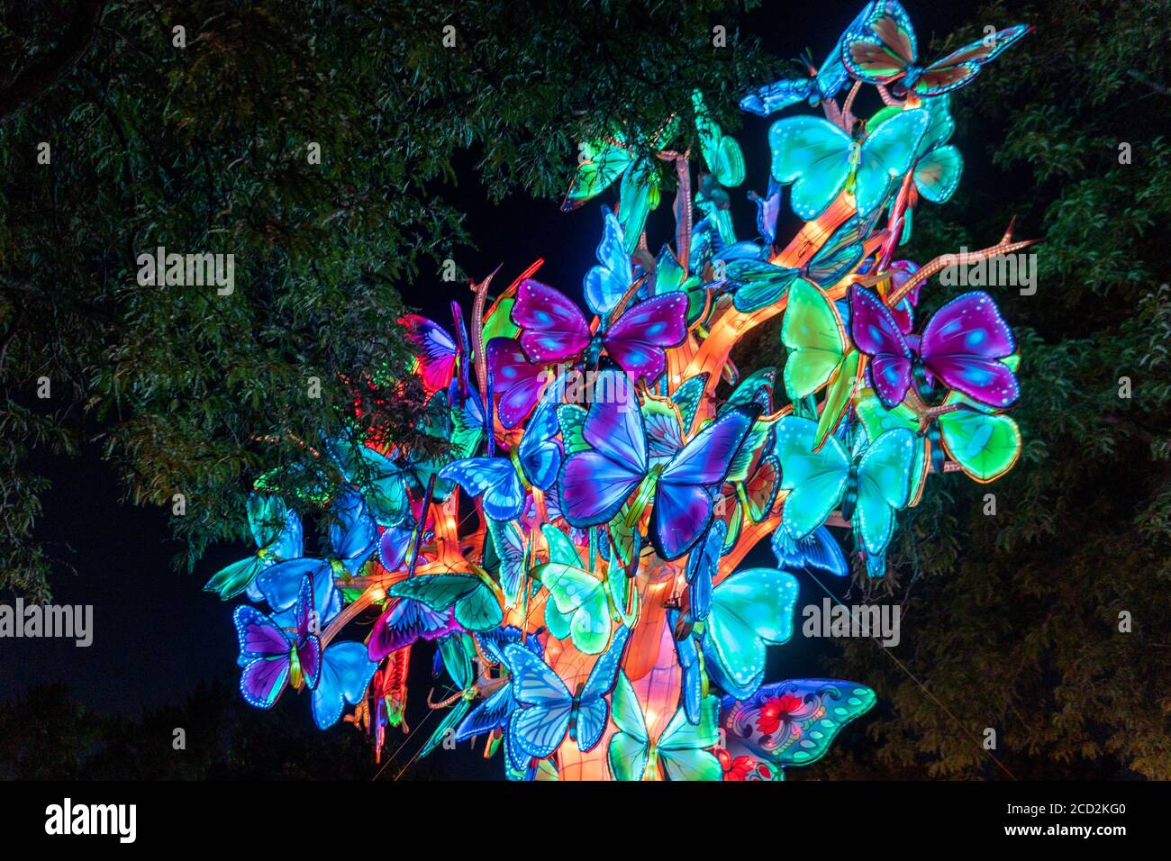 Visita il Lantern Festival allo zoo di Cleveland in Ohio durante Covid-19 Foto Stock