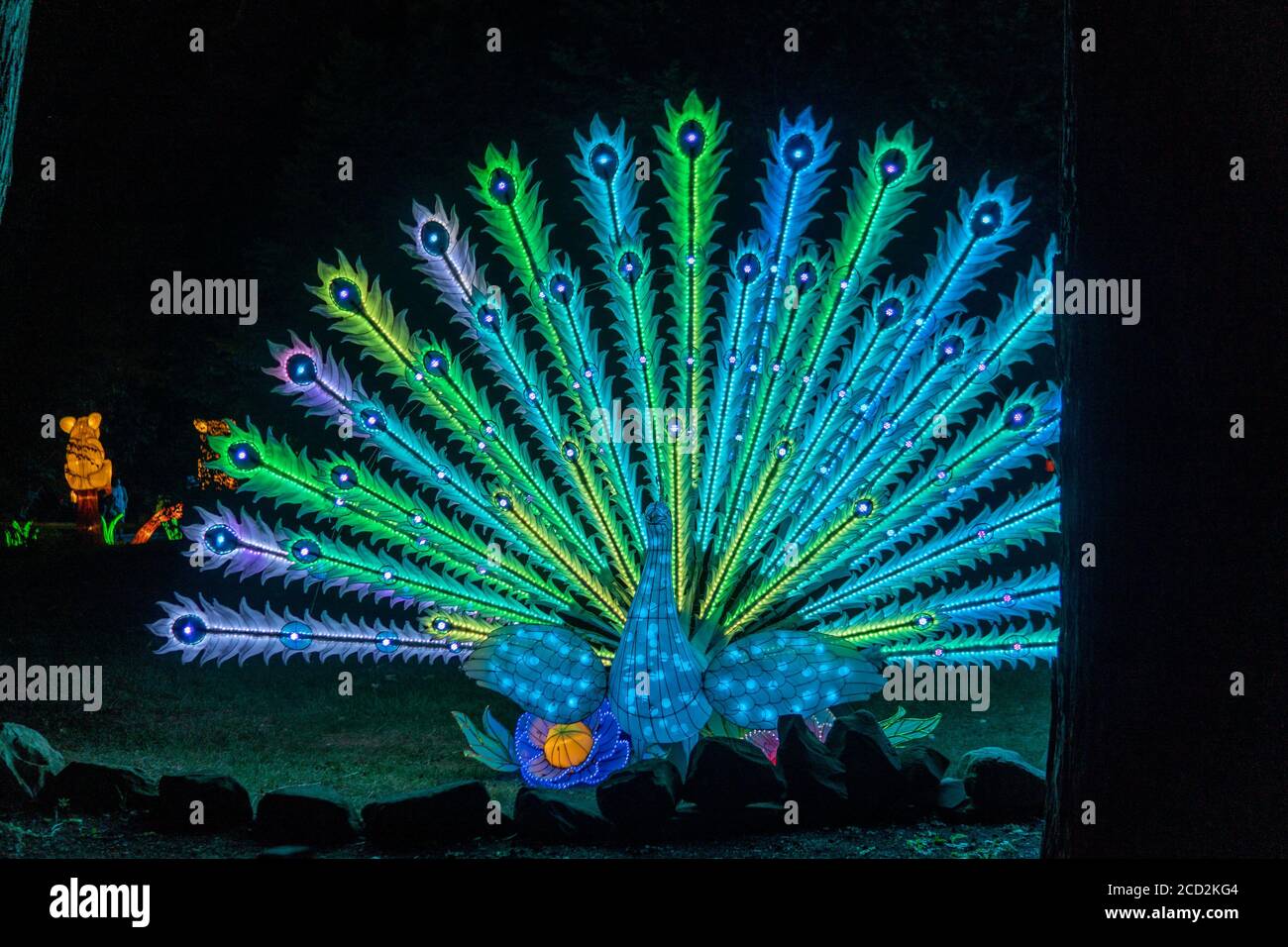 Visita il Lantern Festival allo zoo di Cleveland in Ohio durante Covid-19 Foto Stock