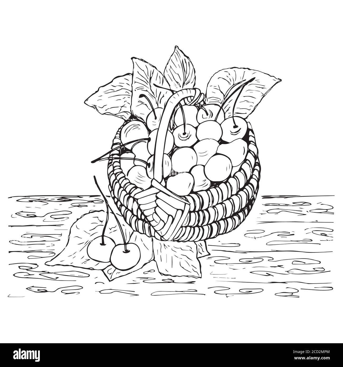 cestino con ciliegi, illustrazione, schizzo, ciliegia Illustrazione Vettoriale