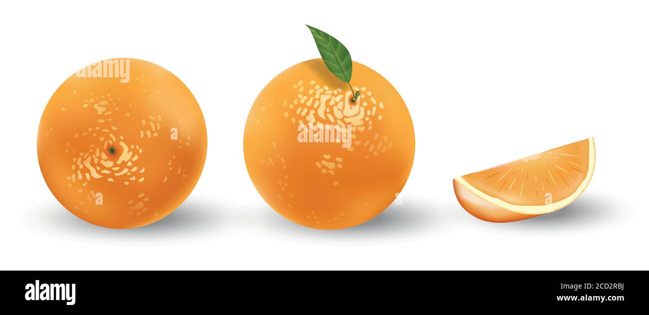 Set realistico di arance isolate su bianco. Arance fresche mature con foglie. Illustrazione vettoriale di frutti tropicali Illustrazione Vettoriale