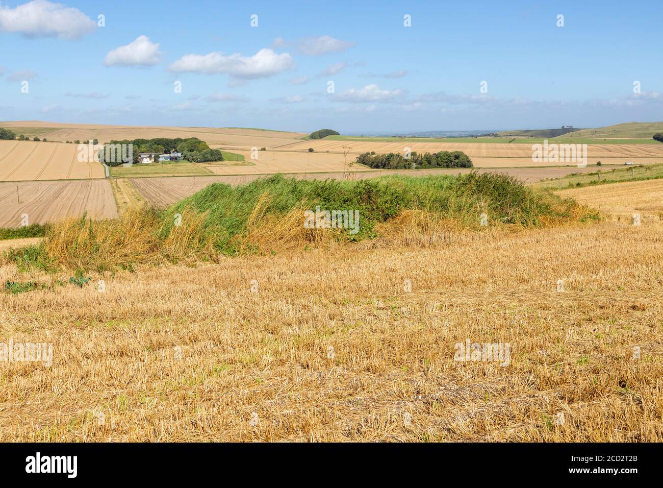 Chalk Landscape North Wessex Downs AONB, view to Baltic Farm from Bishops Cannings Down, Wiltshire, England, UK - tumulus foreground Foto Stock