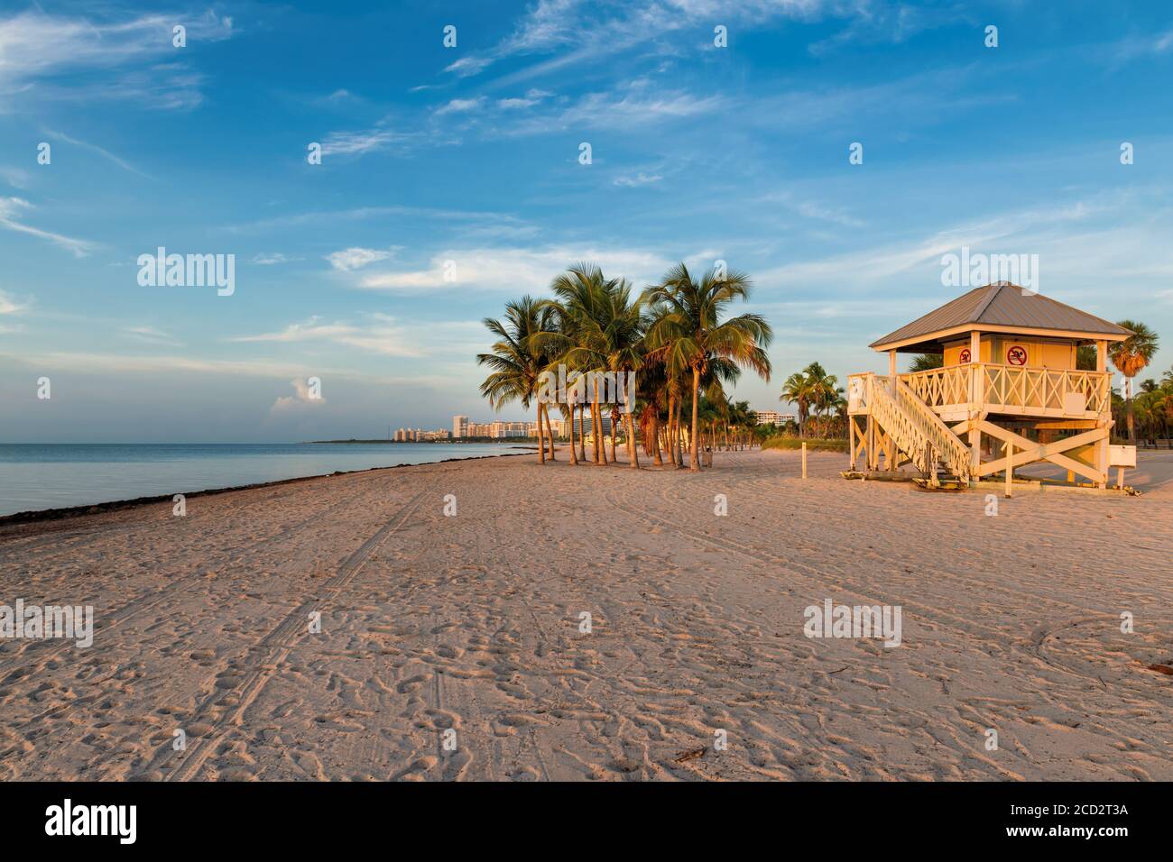 Palme sulla spiaggia di Miami all'alba, Florida, Stati Uniti. Foto Stock