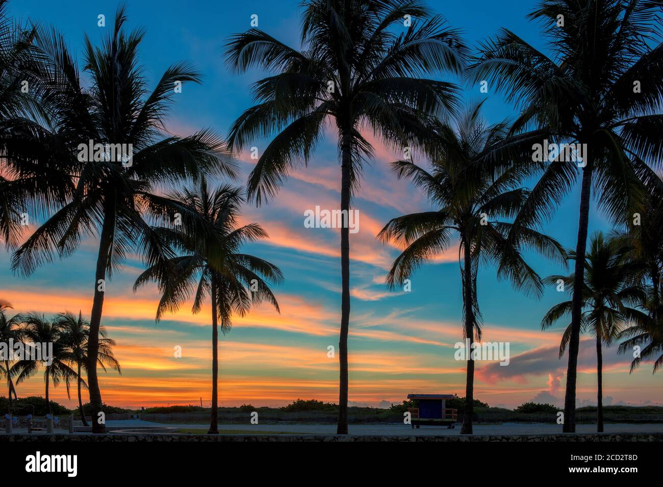 La silhouette delle palme in una splendida alba a Miami Beach, Florida Foto Stock