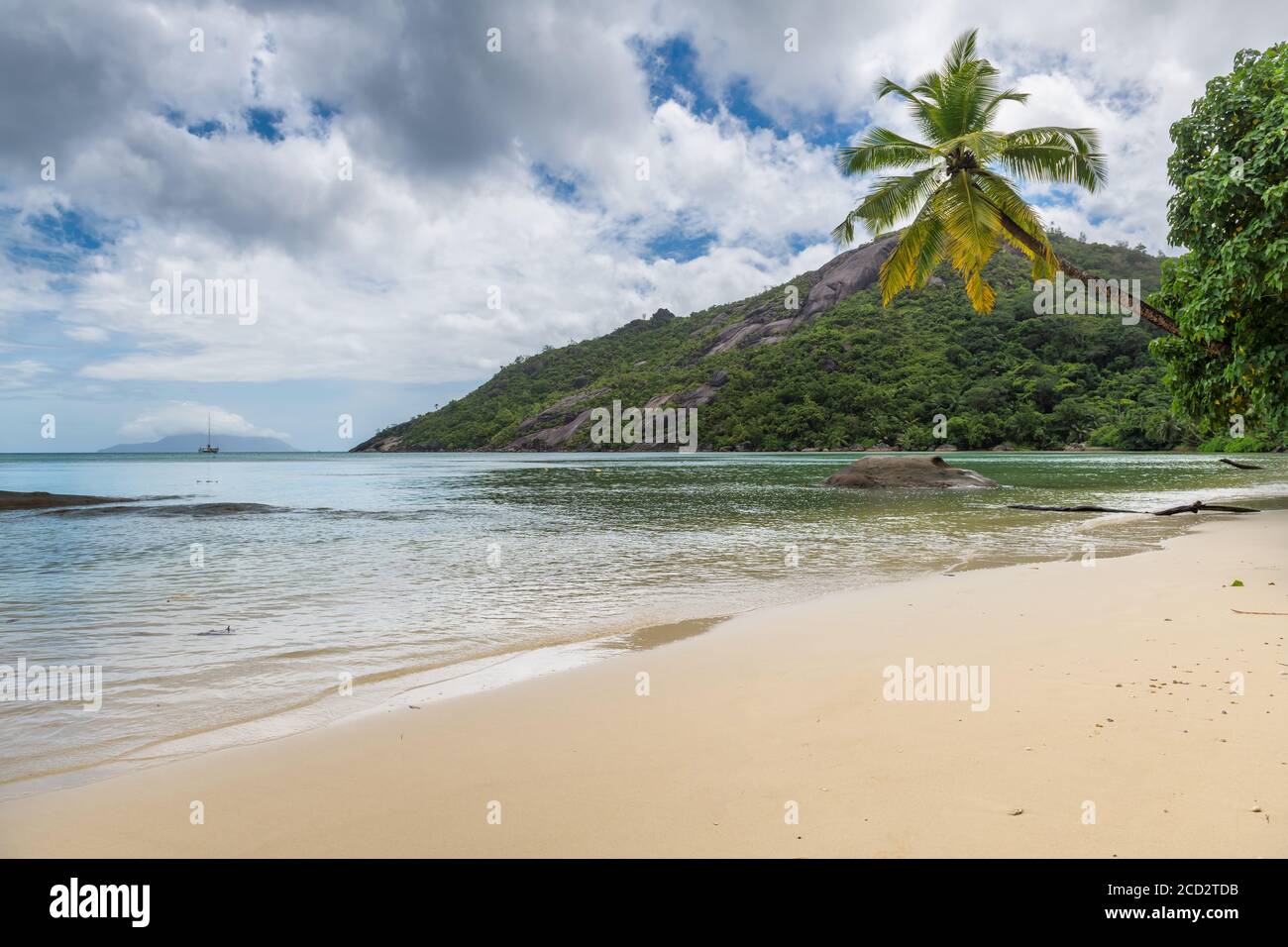 Spiaggia esotica con palme e oceano blu Foto Stock