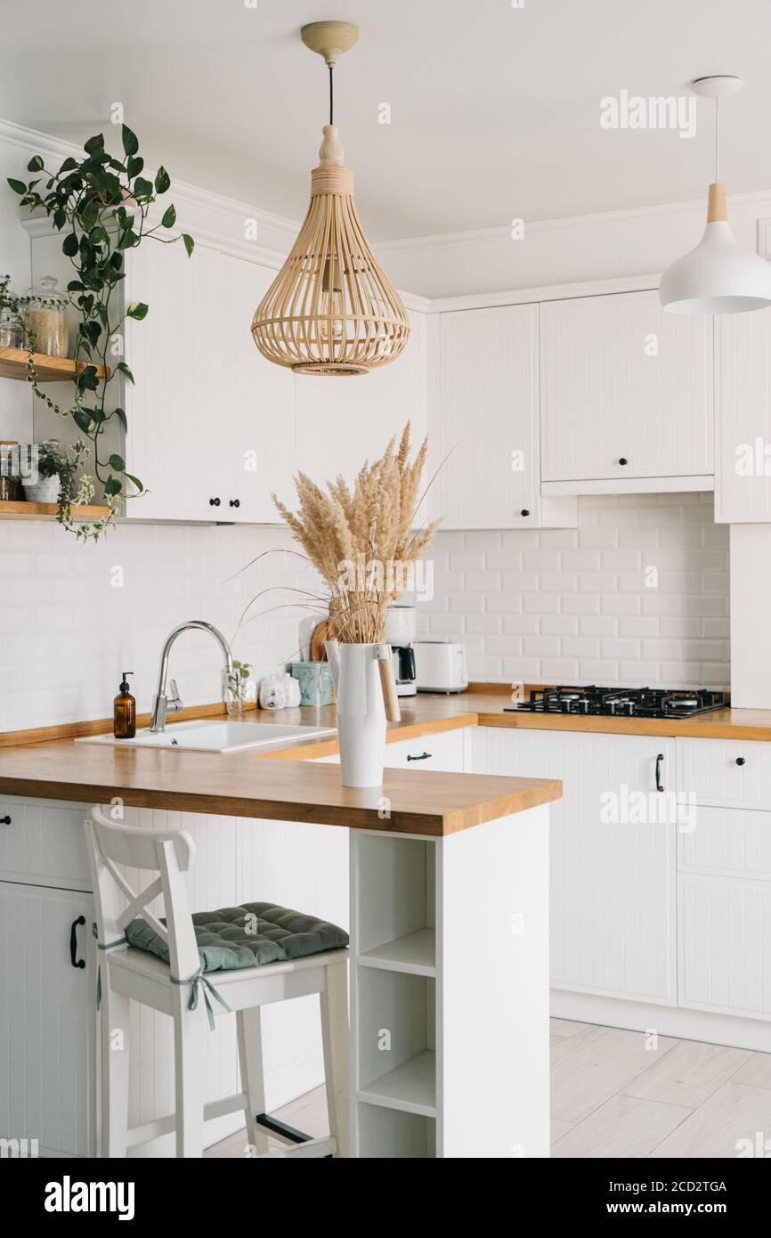 Moderna cucina bianca a forma di U in stile scandinavo. Scaffali aperti in cucina con piante e vasi. Decorazione d'autunno, fuoco selettivo su foregroun Foto Stock