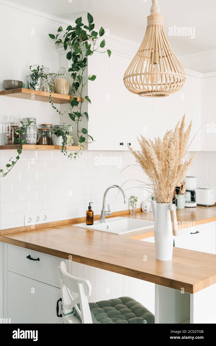 Moderna cucina bianca a forma di U in stile scandinavo. Scaffali aperti in cucina con piante e vasi. Decorazione d'autunno, fuoco selettivo su foregroun Foto Stock