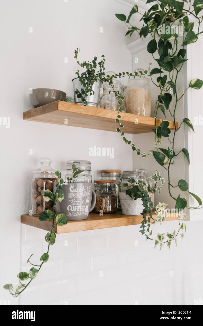 Scaffali in legno aperto in cucina con vasi e piante di casa