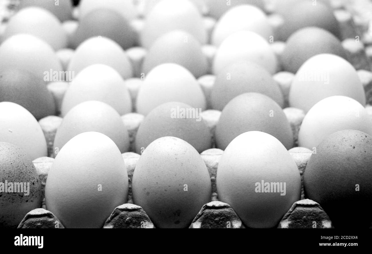 Vista ravvicinata di materie le uova di gallina in scatola per uova  .shallow dof immagine Foto stock - Alamy