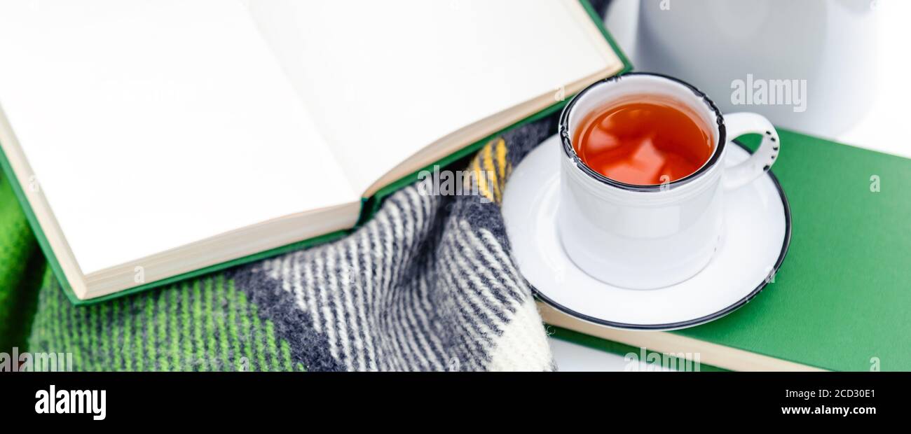 Tazza di tè vicino libro aperto, fiori rosa bianca selvatica in vaso, plaid caldo su tavola bianca fuori in giardino. Romantica colazione di piacere con la natura Foto Stock