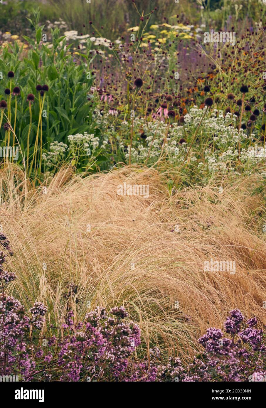 Particolare del bellissimo giardino di Hauser & Wirth, Somerset di Piet Oudolf Foto Stock