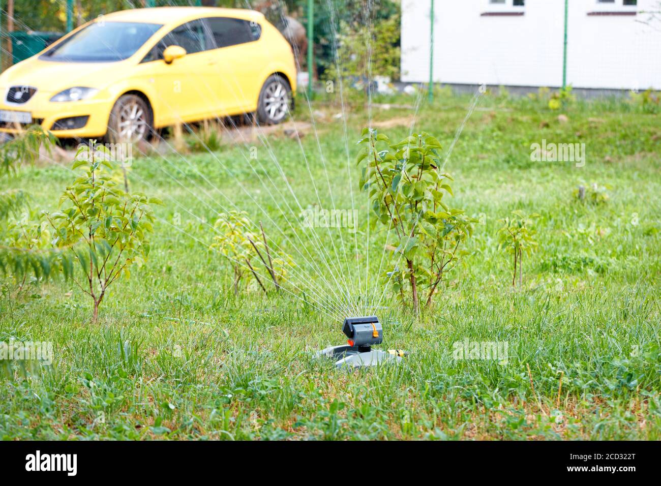 Uno spruzzatore automatico irriga prati verdi e alberi giovani nel cortile di una casa privata. Foto Stock