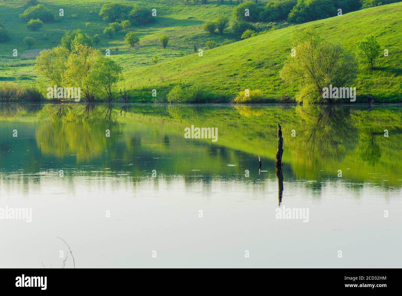 lago e prato verde vicino all'acqua in giornata di sole. riflessione di alberi in acqua Foto Stock