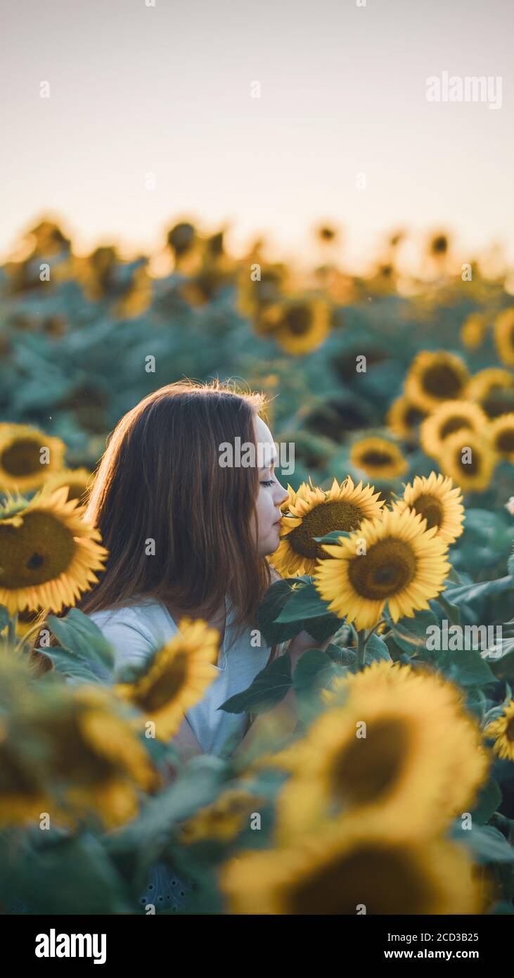 Giovane bella donna sorridente e divertente in un campo di girasole in una bella giornata estiva. Foto Stock