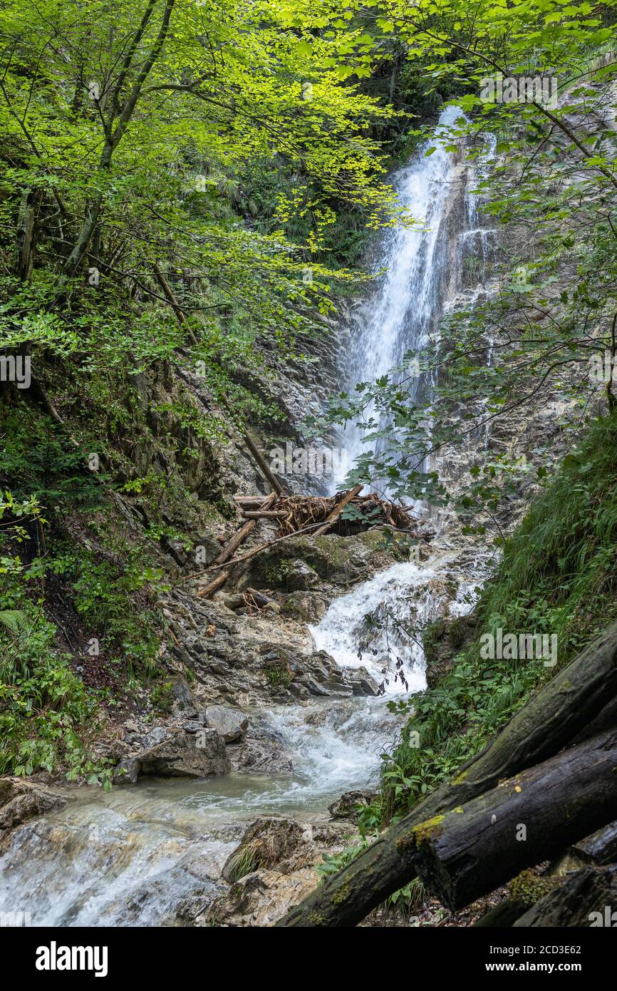 Cascata Griessenbach in foresta mista, Germania, Baviera, Chiemseemoore, Grassau Foto Stock