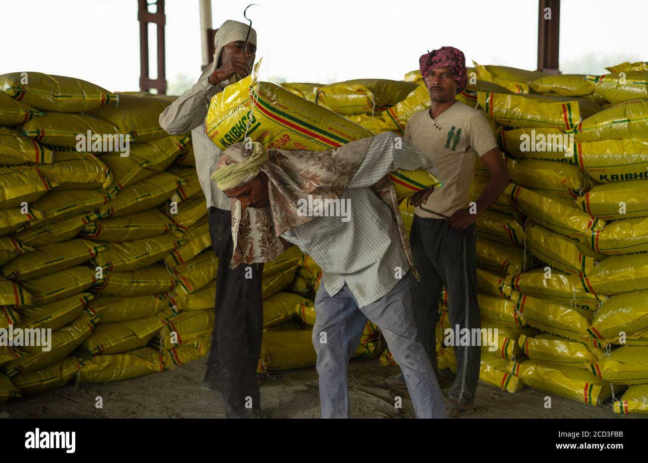 Sacco pesante di cemento da 50 kg caricato sul retro del lavoratore manuale per il trasporto a Mathura, Uttar Pradesh, India. Foto Stock