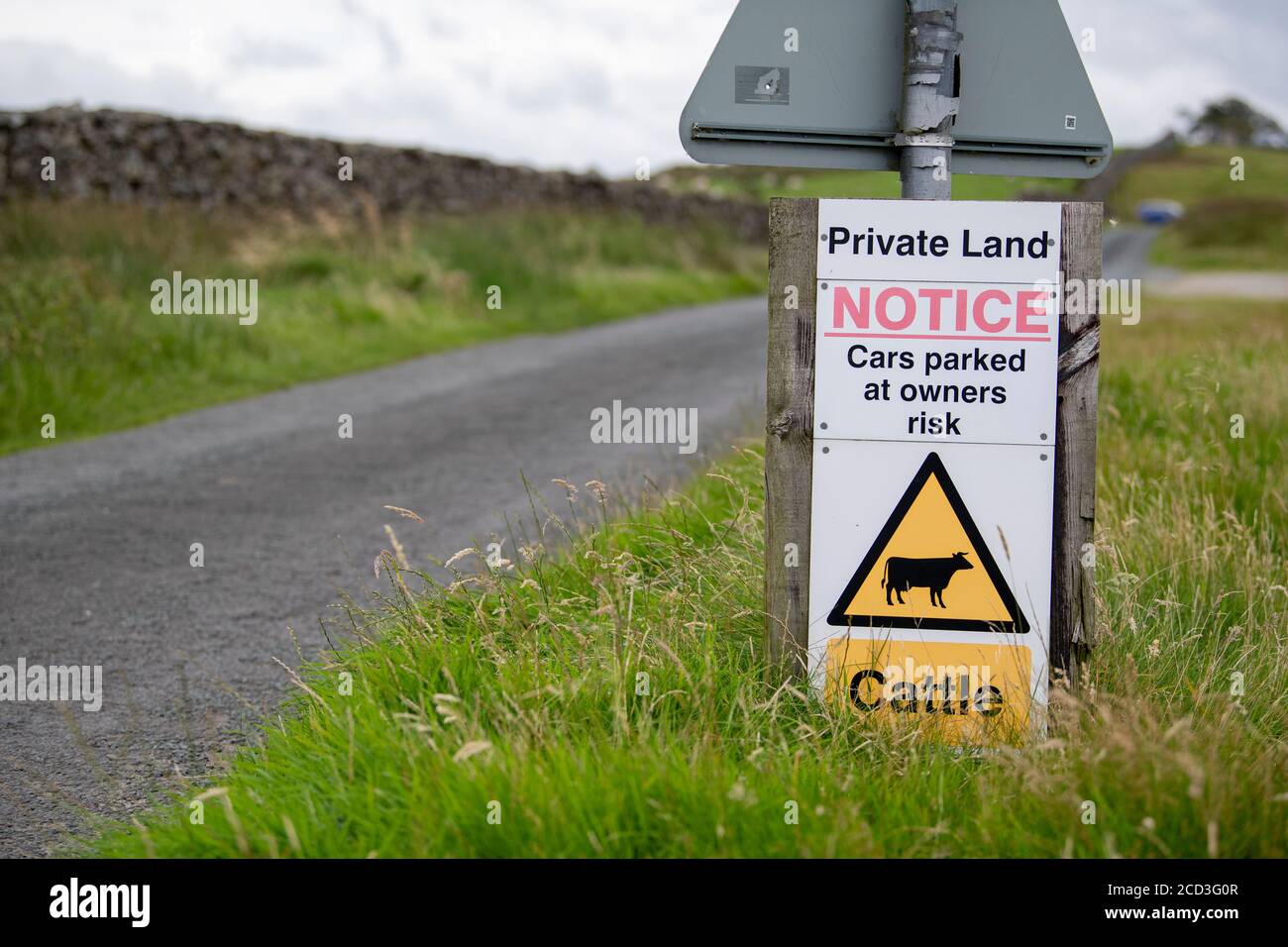 Cartello su una strada rurale che avvisa i conducenti di non parcheggiare i veicoli, in quanto ci sono bestiame intorno. Lancashire, Regno Unito. Foto Stock