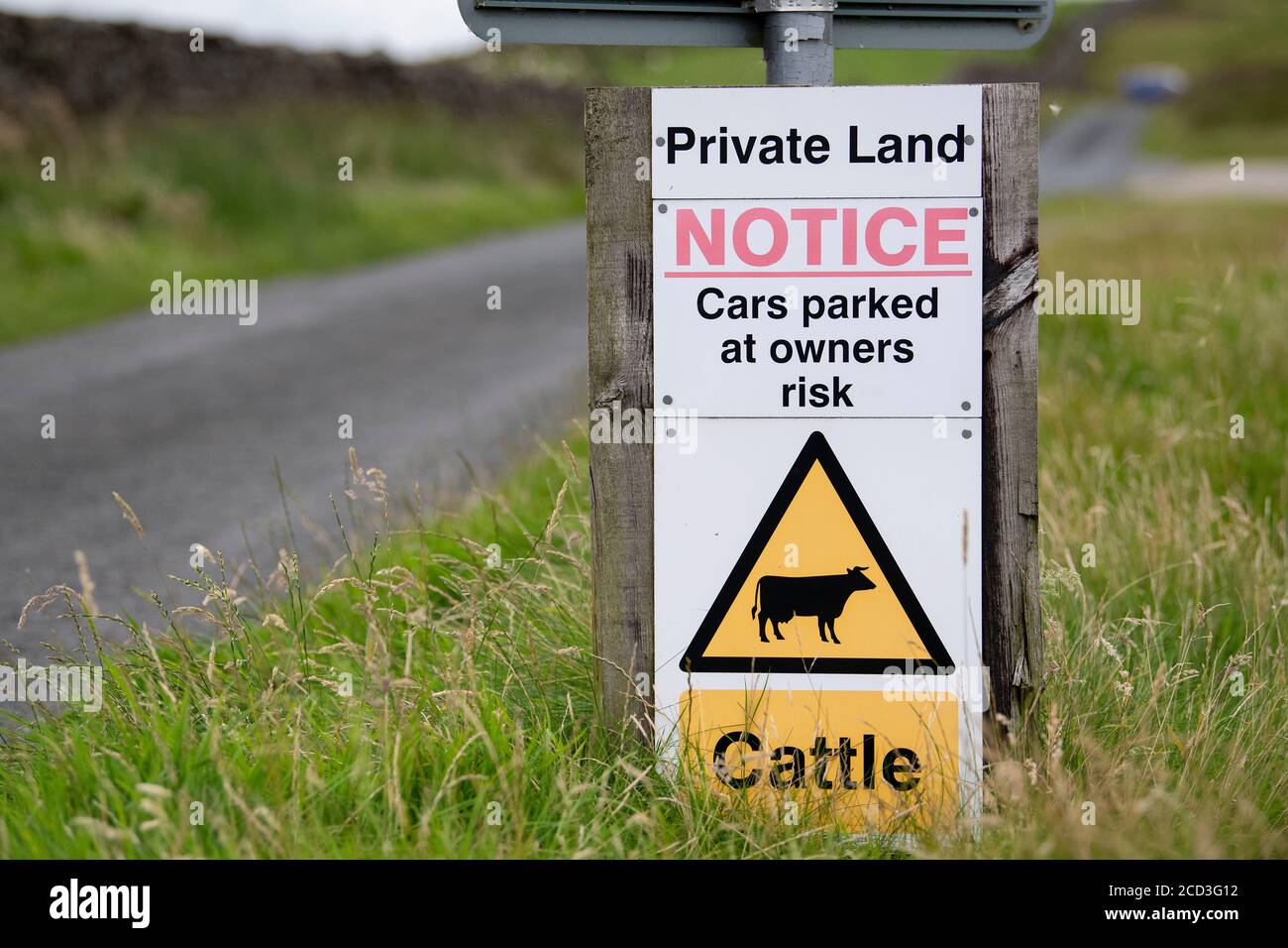 Cartello su una strada rurale che avvisa i conducenti di non parcheggiare i veicoli, in quanto ci sono bestiame intorno. Lancashire, Regno Unito. Foto Stock
