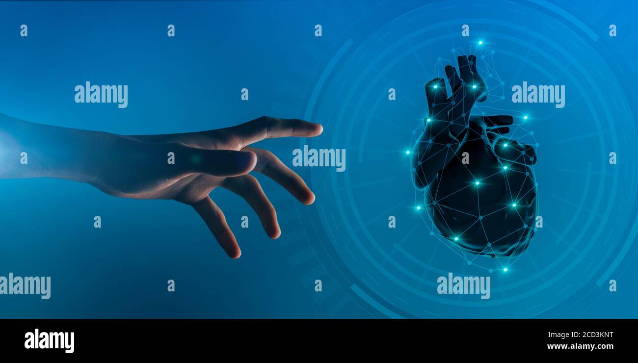 Illustrazione del cuore umano isolato su sfondo bianco Foto Stock