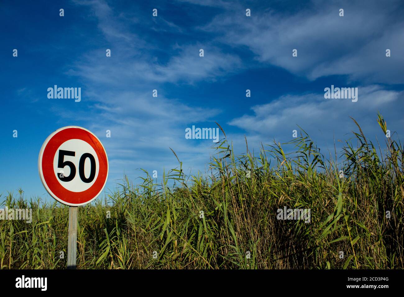 Cartello stradale di fronte a verde canna e cielo blu con le nuvole Foto Stock