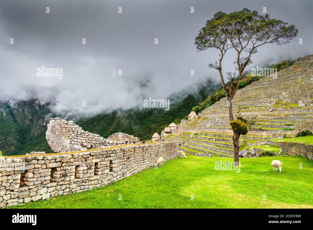 Machu Picchu, Perù - Rovine di Inca Empire City, nella regione di Cusco, posto incredibile del Sud America. Foto Stock