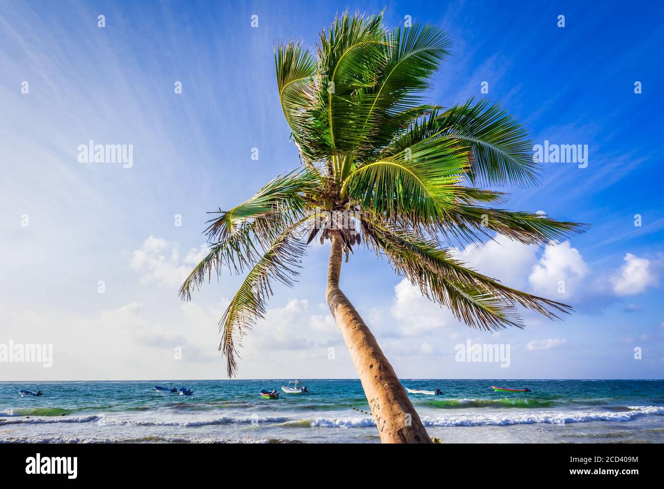 Yucatan, Messico - Playa Paraiso. Bella spiaggia tropicale bianca e palme da cocco. Concetto di vacanza. Foto Stock