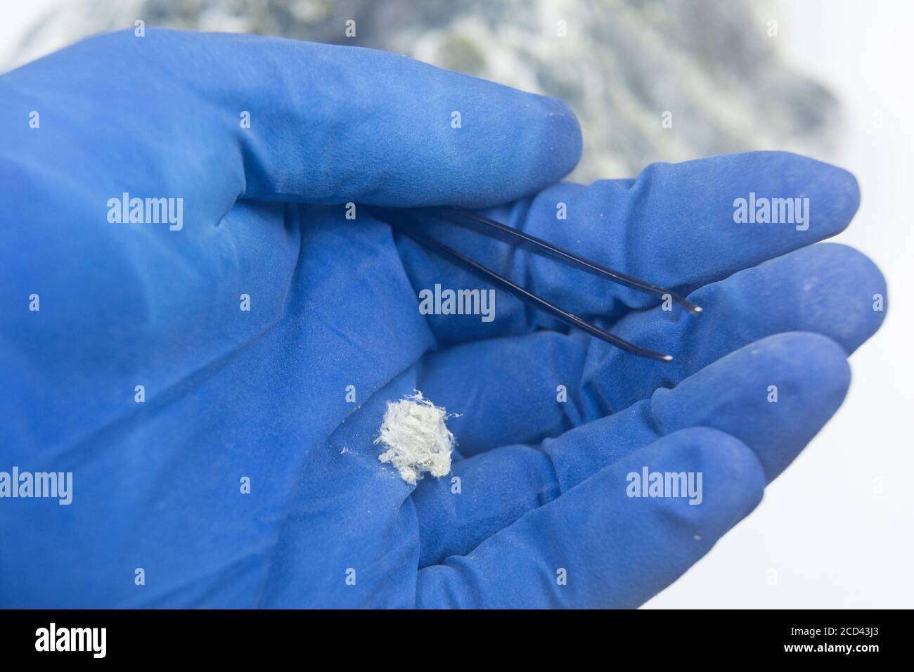 L'amianto minerale si trova sul palmo in un guanto. Primo piano delle fibre  di amianto crisotilo sulla mano di un uomo in guanti Foto stock - Alamy