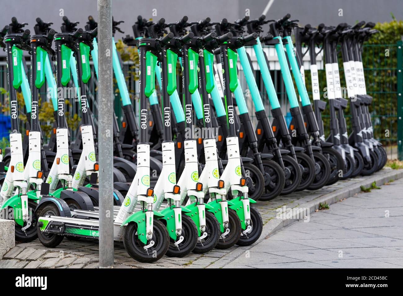 Dortmund, 26.08.2020: Elektroroller, e-Scooter der Verleihfirmen Lime, TIER und Bird parken aufgereiht an einem Abstellplatz am Dortmunder Fenixsee, einem beliebten Ausflugsort der Stadt. --- Dortmund, 26 agosto 2020: Scooter elettrici, scooters e-scooters dalle società di noleggio Lime, Tier e Bird sono parcheggiati in una fila in uno spazio di parcheggio presso il lago Phoenix di Dortmund (Fenixsee), una destinazione di escursione popolare nella città. Foto Stock