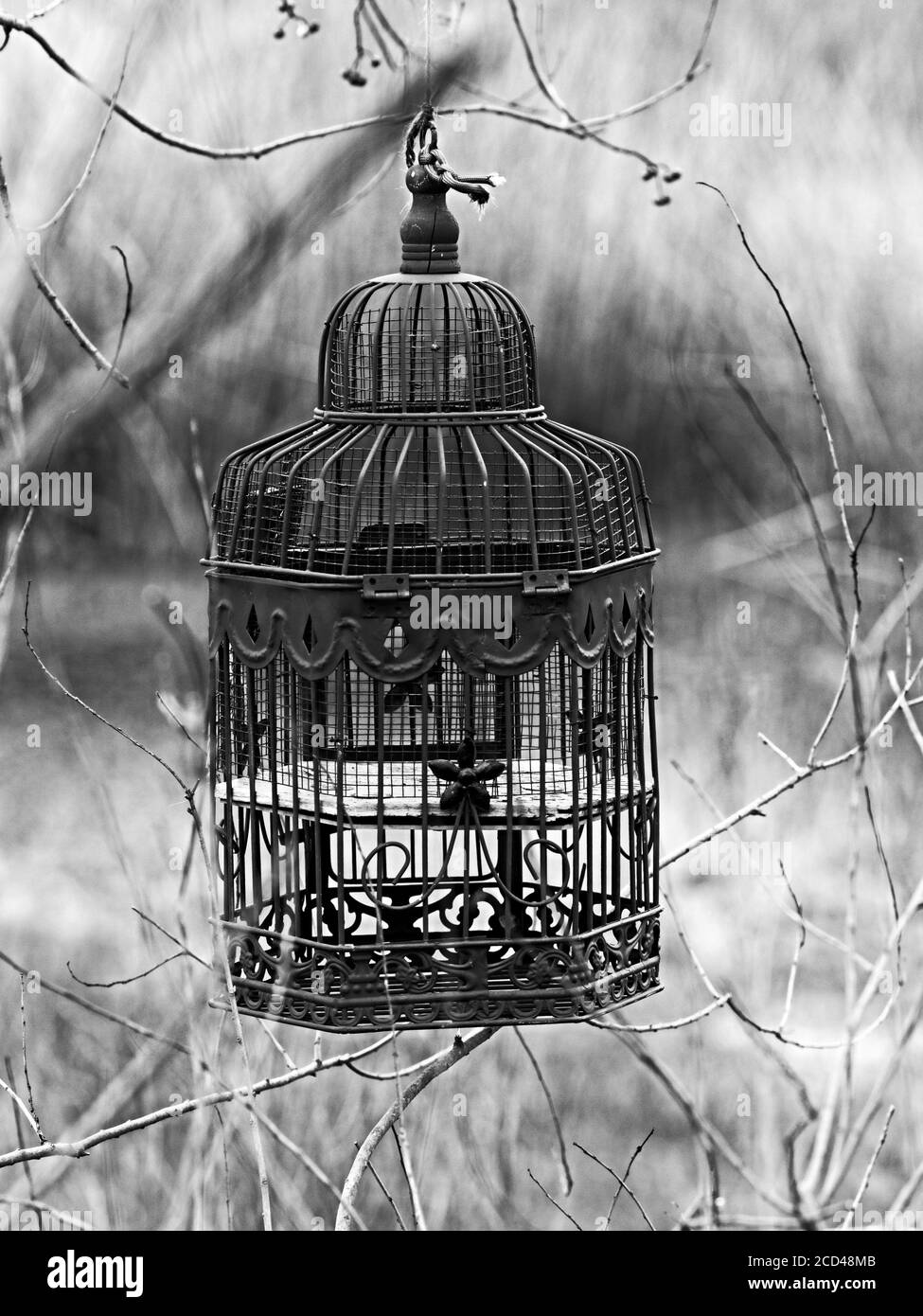 The Woodlands TX USA - 01-09-2020 - gabbia degli uccelli by Un laghetto nel bosco in B&W. Foto Stock