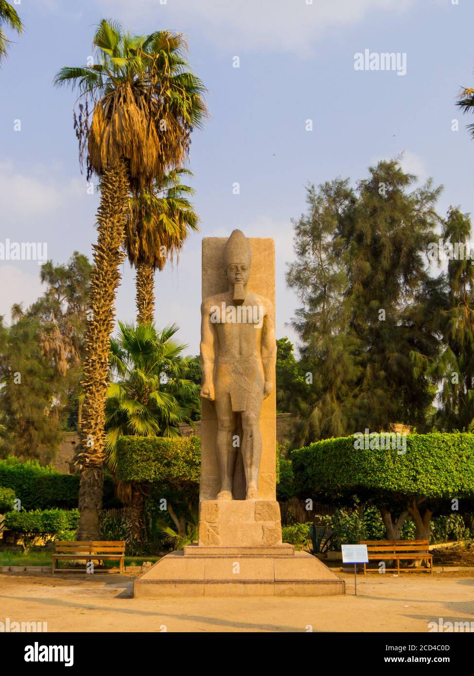 Statua di Ramesses II, Menfi, Egitto Foto Stock